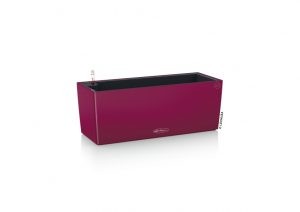 balcolor50_violetgranat