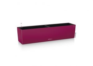 balcolor80_violetgranat