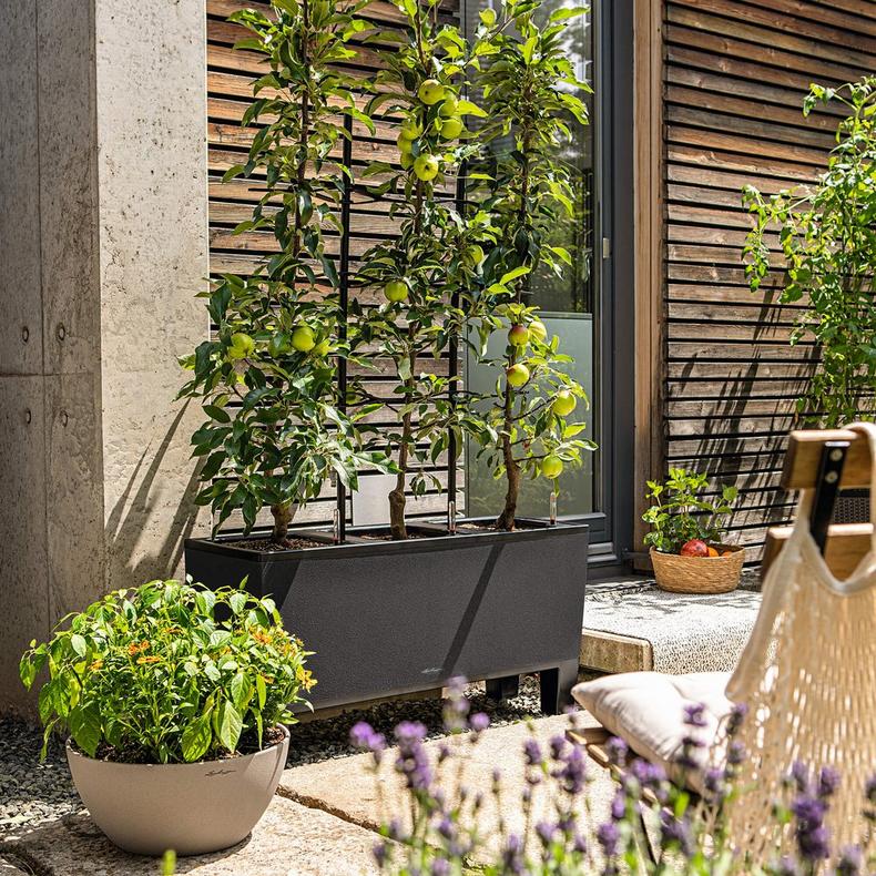 Trio Cottage