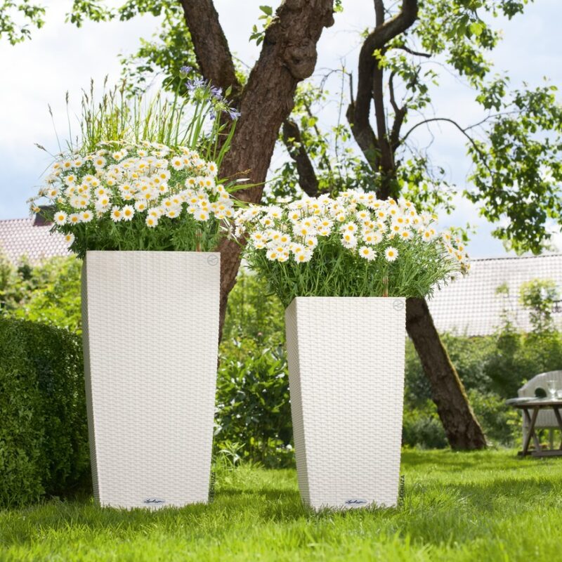 Cubico Cottage - TREND