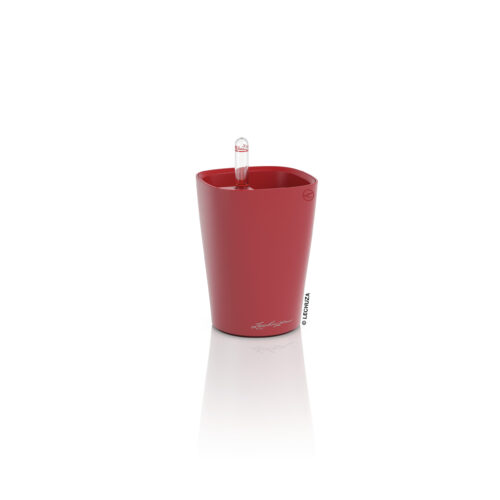 Deltini Mini czerwony matt 10 x 13 cm